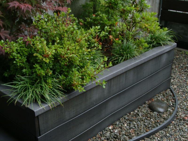 trex planter and curved border