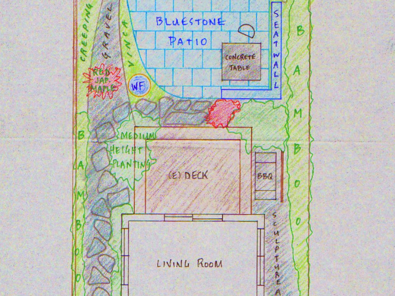 garden study drawing