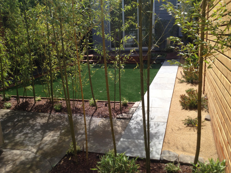 through bamboo