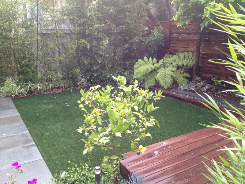 lawn view