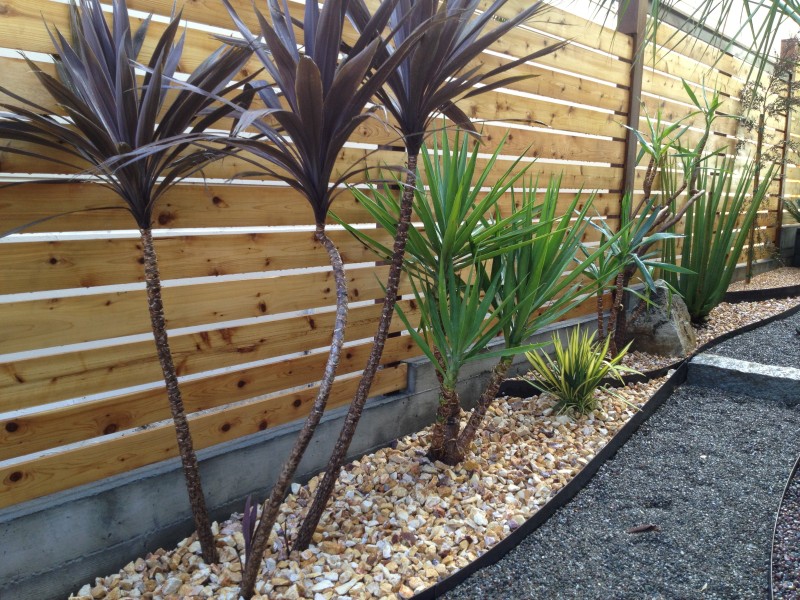 Plantings