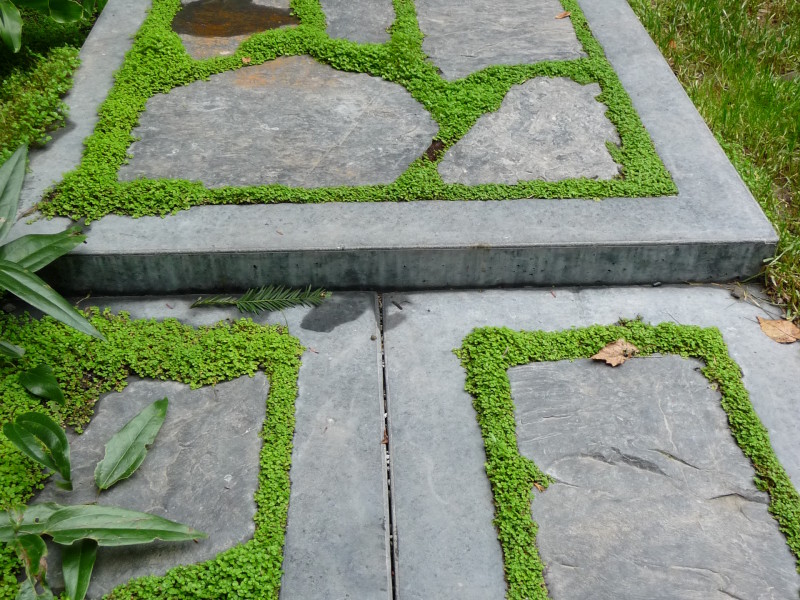 moss stone steps