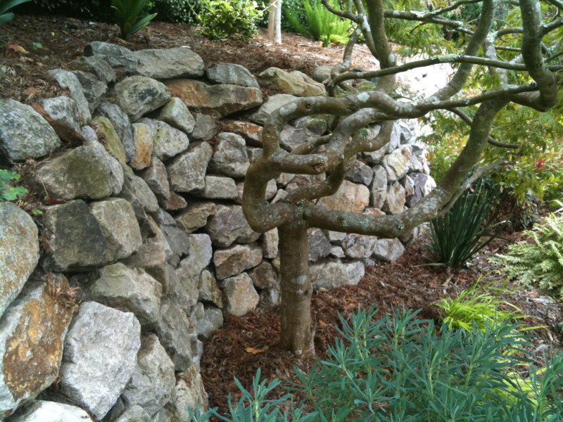rock wall