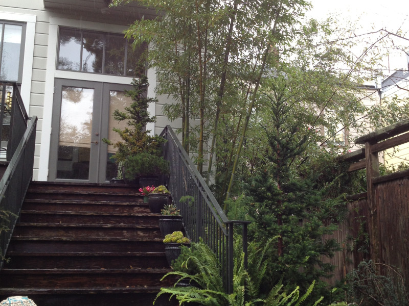 front steps