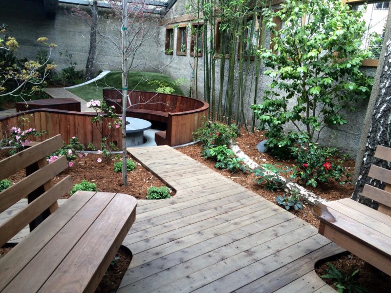decks and plants